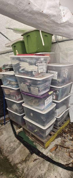 Halloween Costumes and Accessories  Lot