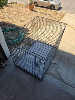Dog Kennel $30 -OBO