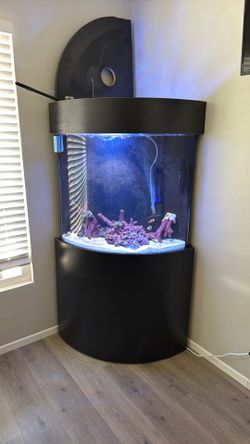 50 gallon bow front aquarium