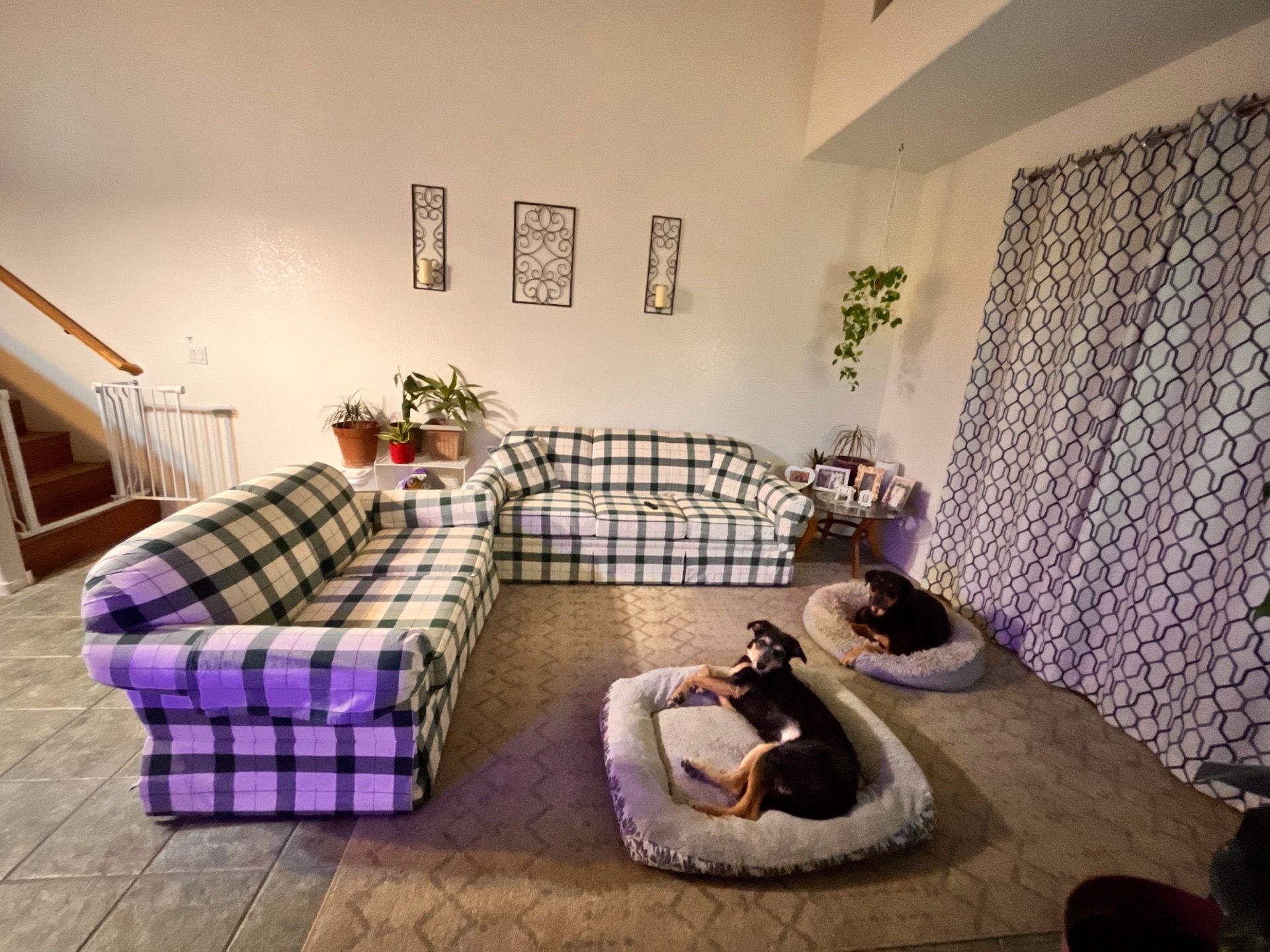 Sofa set