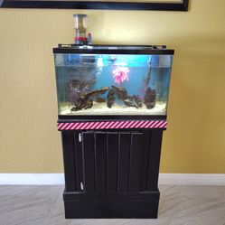 30 Gallon Fish Tank