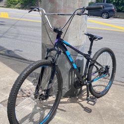 GT Mtb /bmx Conversion Laguna