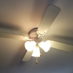 48" 4-blade fan with Reversible Blades