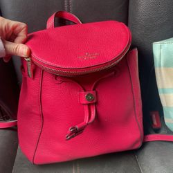 Kate Spade Backpack And Purse