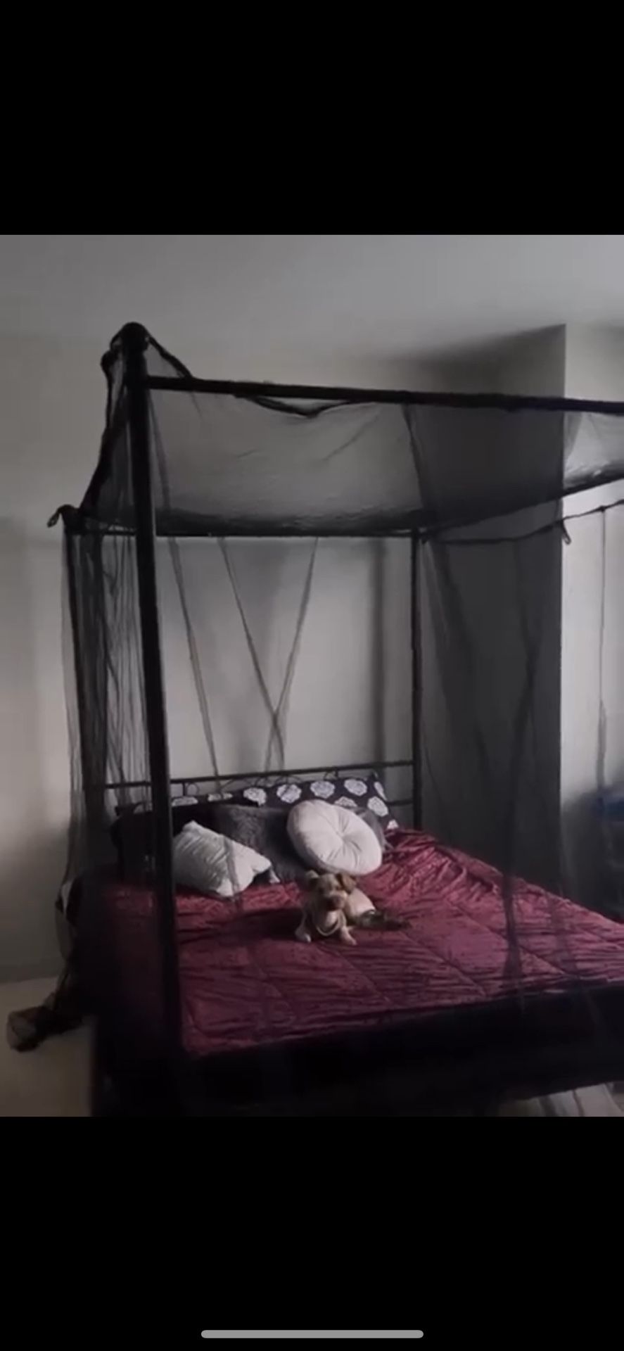 Queen Size Bed Frame For Sale Need Gone Now