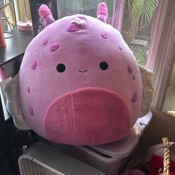 giant squishy 