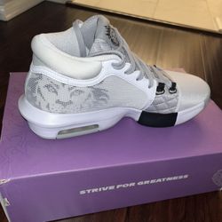 Nike LEBRON WITNESS VIII