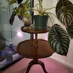 Antique 2 Tier Table And Long Wood Coffee Table 