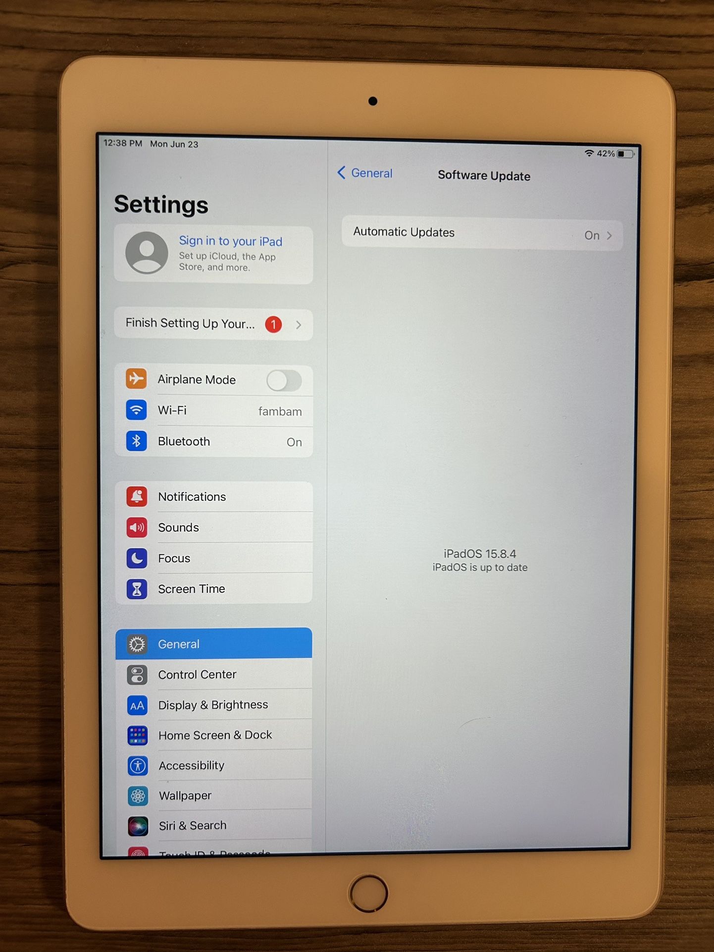 iPad