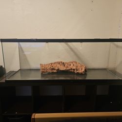 Fish/snake/lizard Tank + Stand.