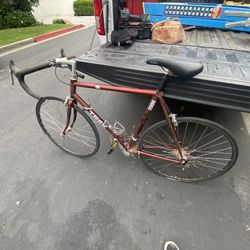 Trek Bike