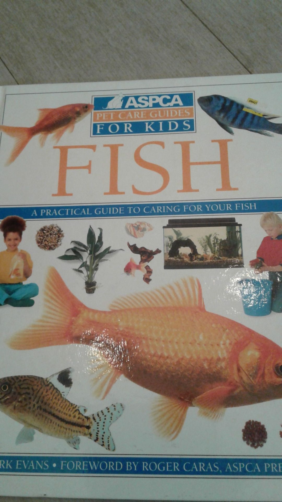 Fish tank aquarium guide for kids