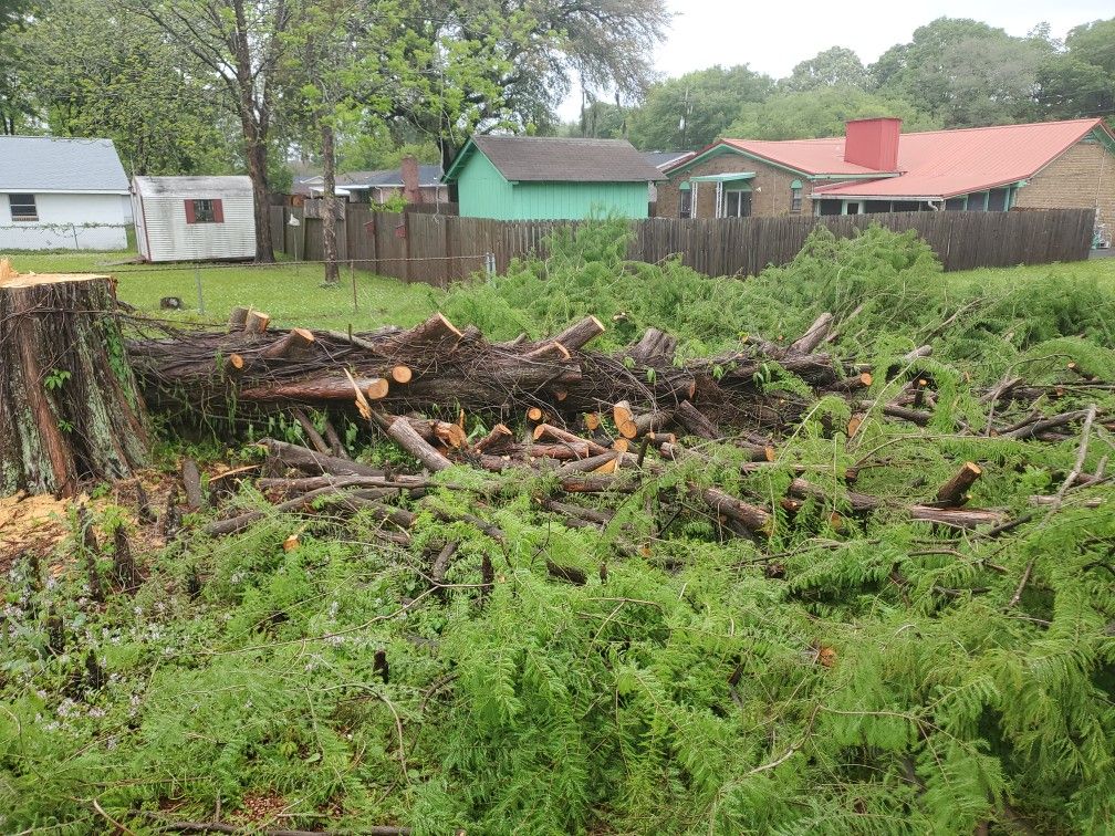 CYPRESS WOOD FOR SALE TRUNK 25 Ft Long