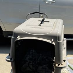 dog crate 
