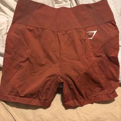 Gym Shark Shorts