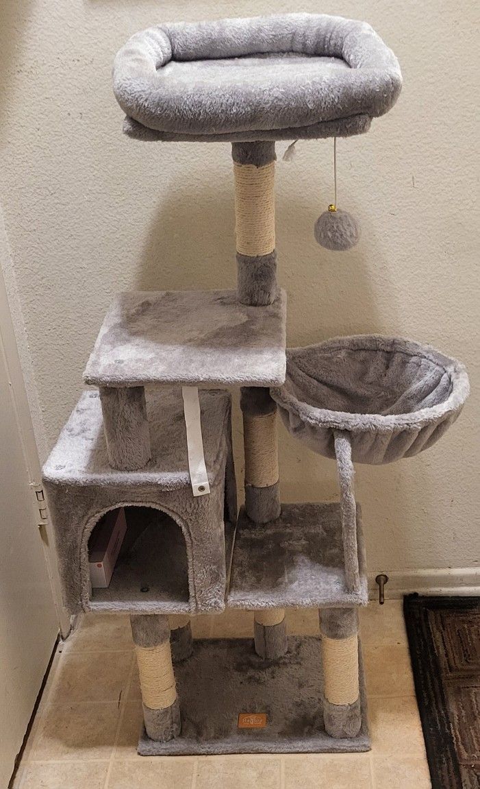Base Para Gatos