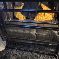 Twin Foldable Bed Rail Only  