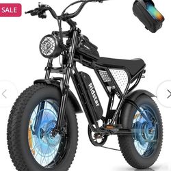 Ridstar Q20 Mini 20 Inch Fat Tire 1000w Motor 28MPH Electric Bike