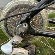 Specialized Expedition Bike 