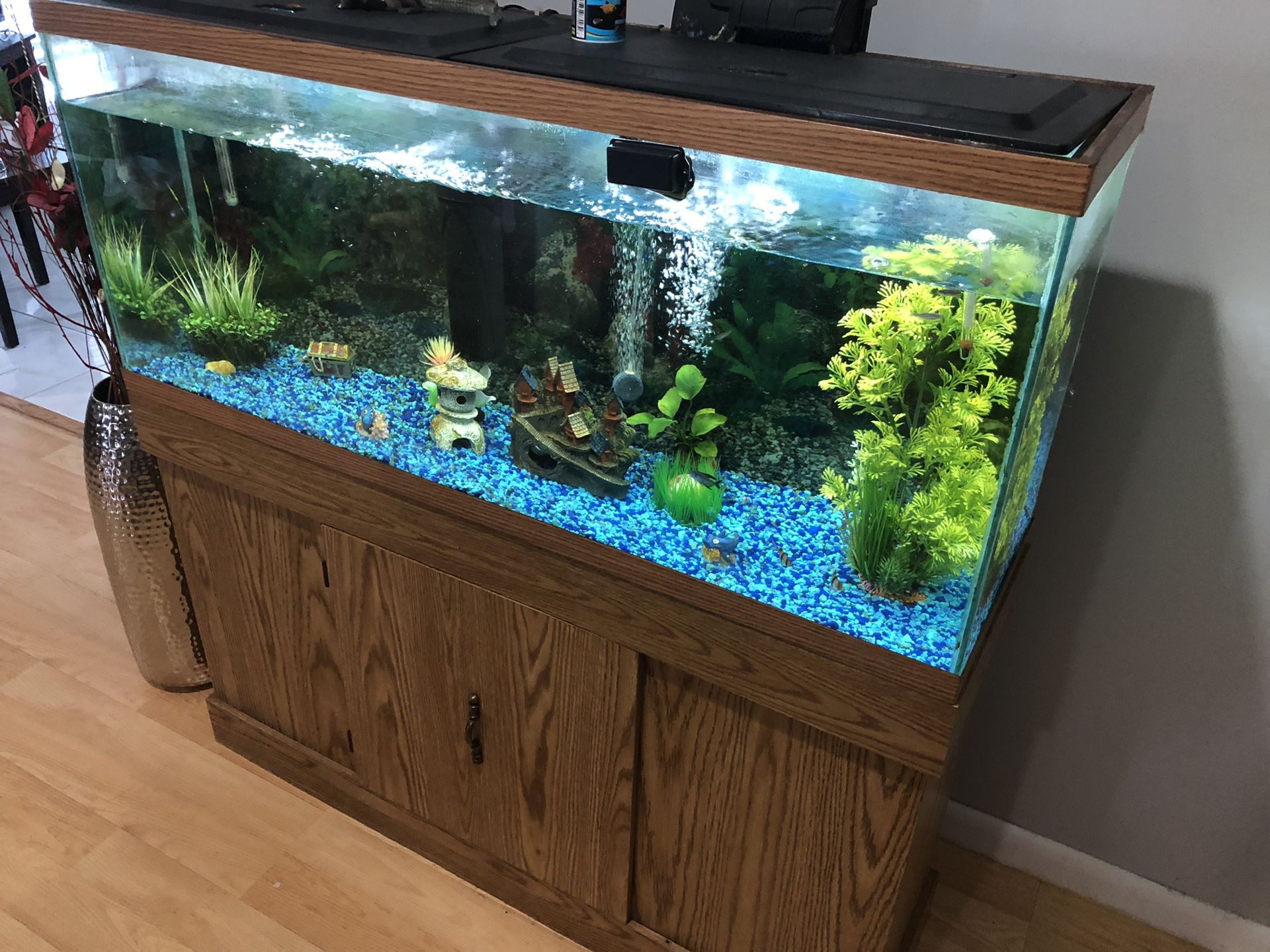 55 Gallon Fish Tank-All Decor Included
