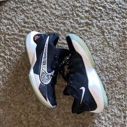 NIKE GIANNIS ZOOM FREAK 2 (BLACK/WHITE)