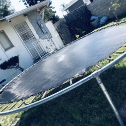 Moxie Trampoline 