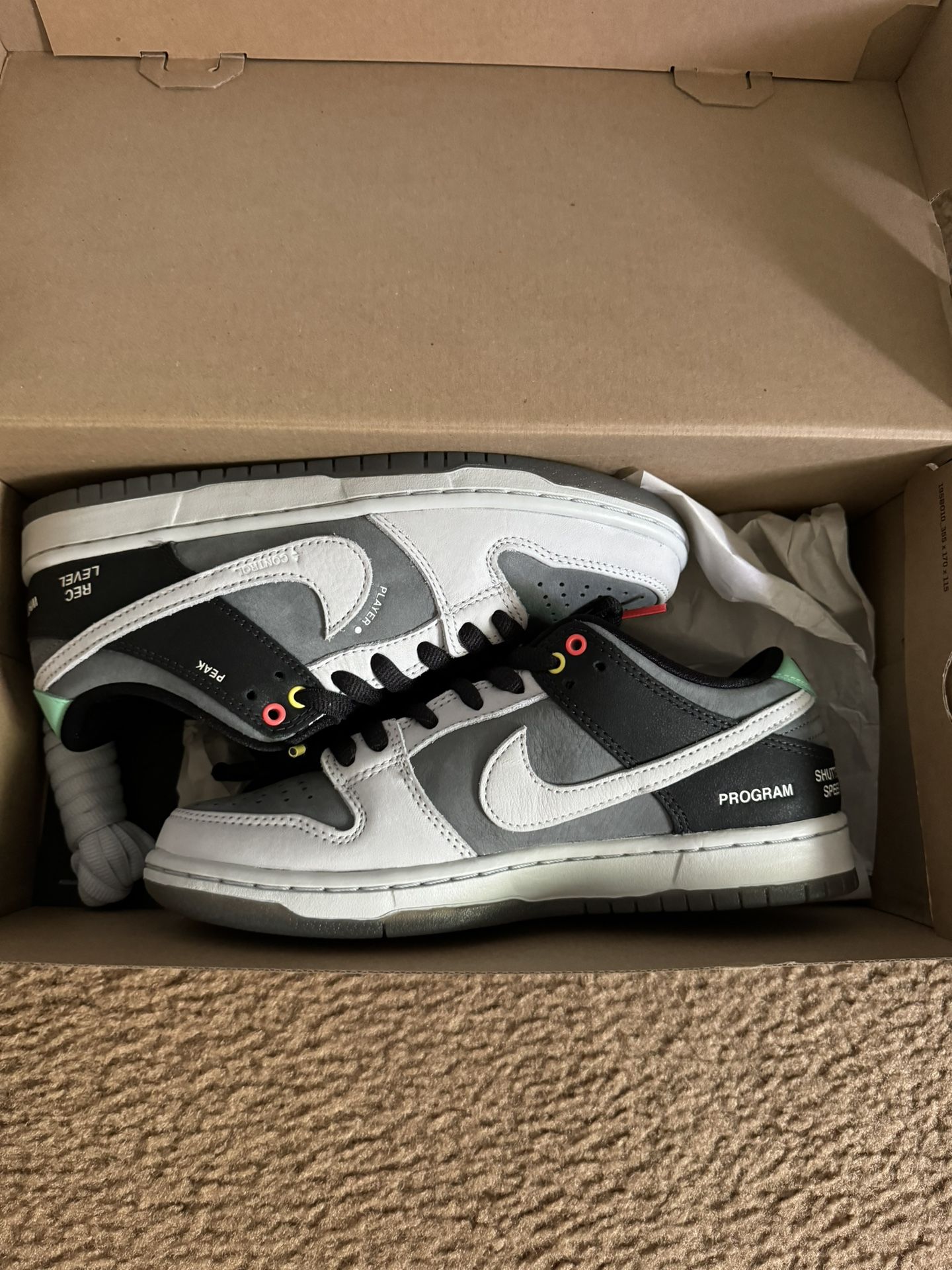 Nike SB Dunk Low Camcorder Size 6.5