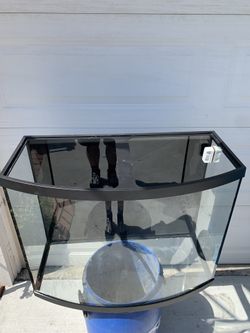 40 Gallon Bowfront Fish Tank
