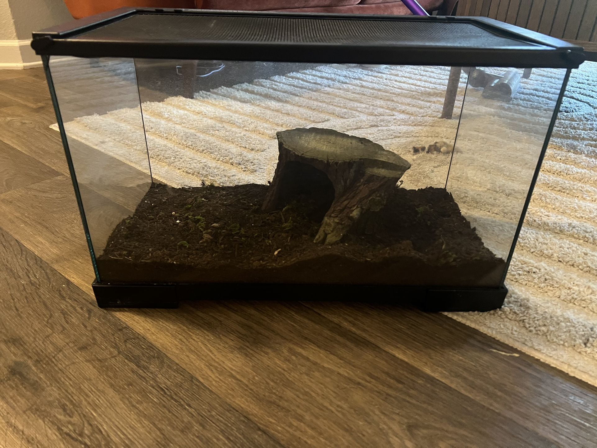 10 Gallon Reptile Tank