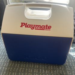 playmate igloo cooler