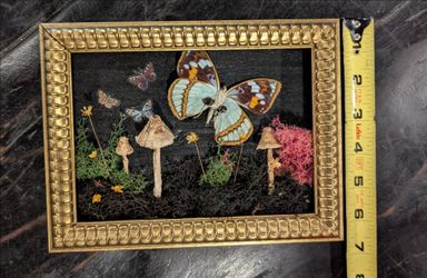 Gold Framed 3d garden