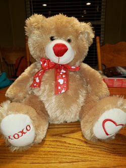 Heart Bear Medium Stuffed Animal