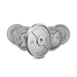 Steel Weights Used