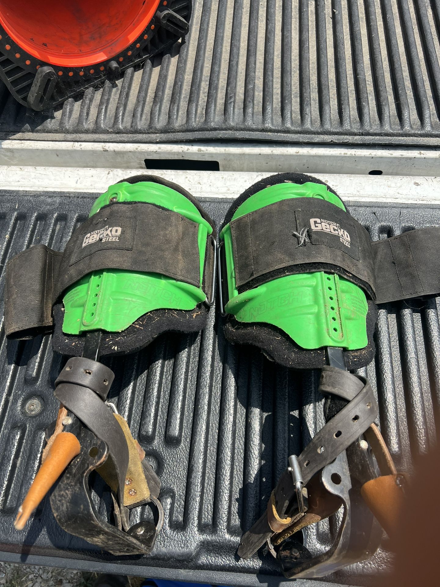 Notch Gecko Spikes