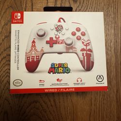 Nintendo Switch Controller 