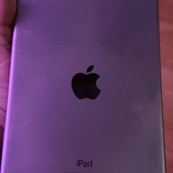 iPad Mini 