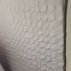 Full Beb No Frame Only Bed Full Size 