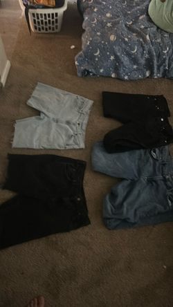 Pants and shorts wranglers