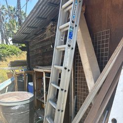 Werner Ladder 
