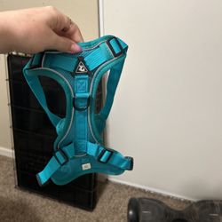 Dog Harness