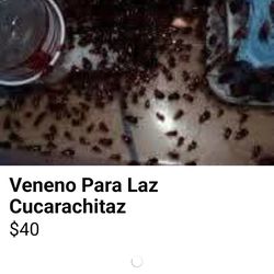 En San Benito Texas y Houston Texas  y Houston Texas(((por la 610 y Martin Luther King Blvd)))))también mandamos poro correo regular....

