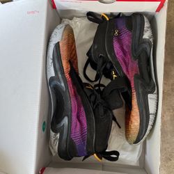 jordan 36 year of tiger