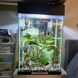 10G Complete FISH setup