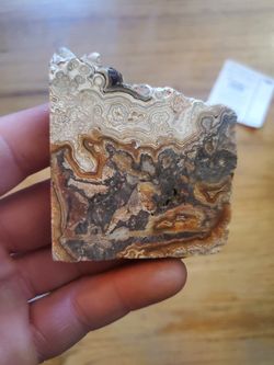 Crazy Lace Agate Slice