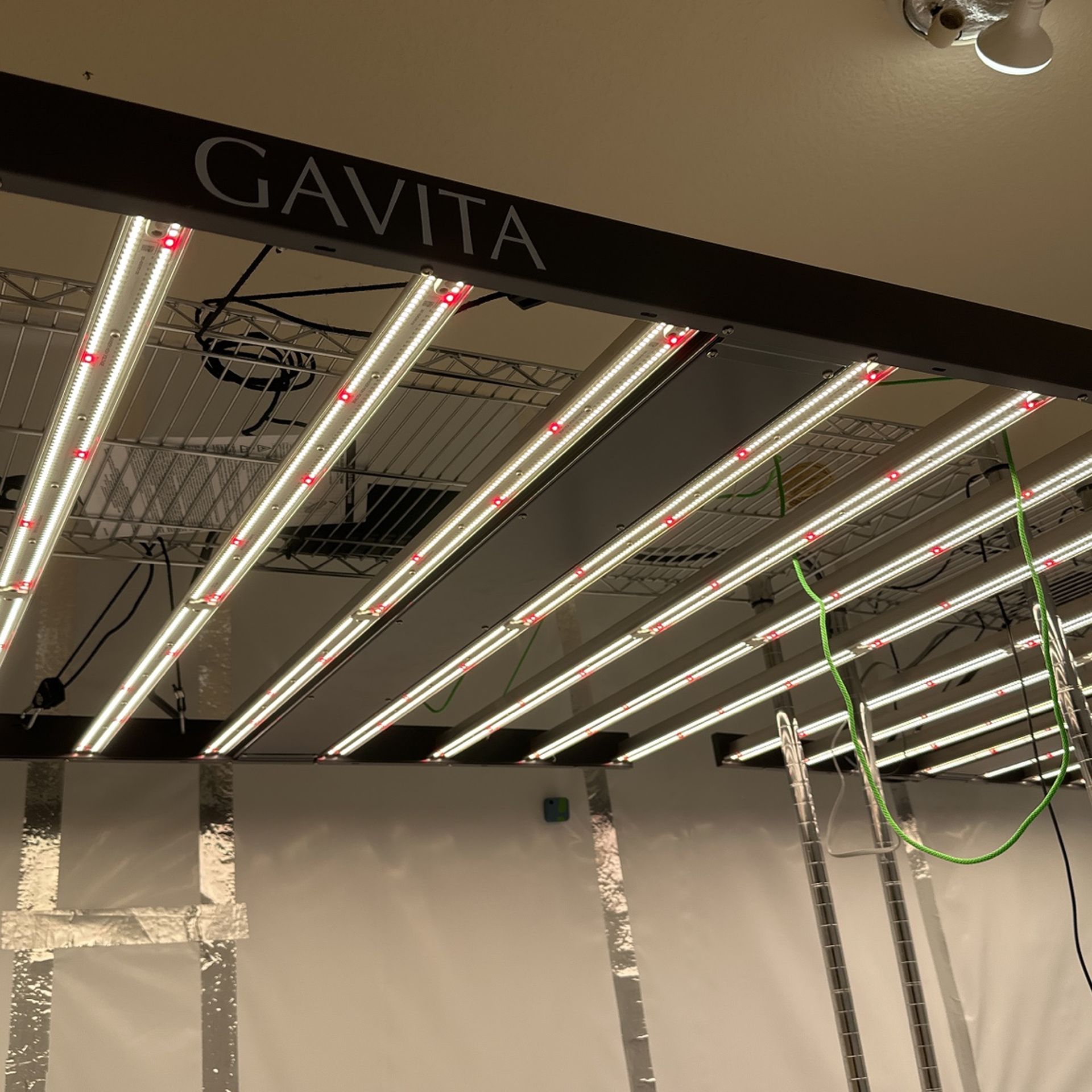 Gavita 1700e for sale deals