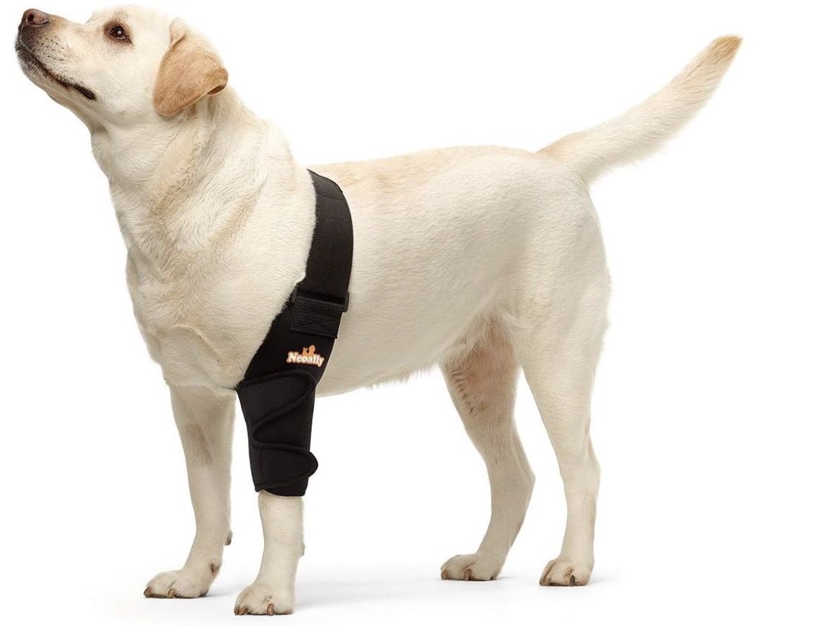Dog Elbow Guard/sleeve For Front Left Leg, large 
