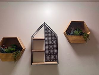 Wall plant decor