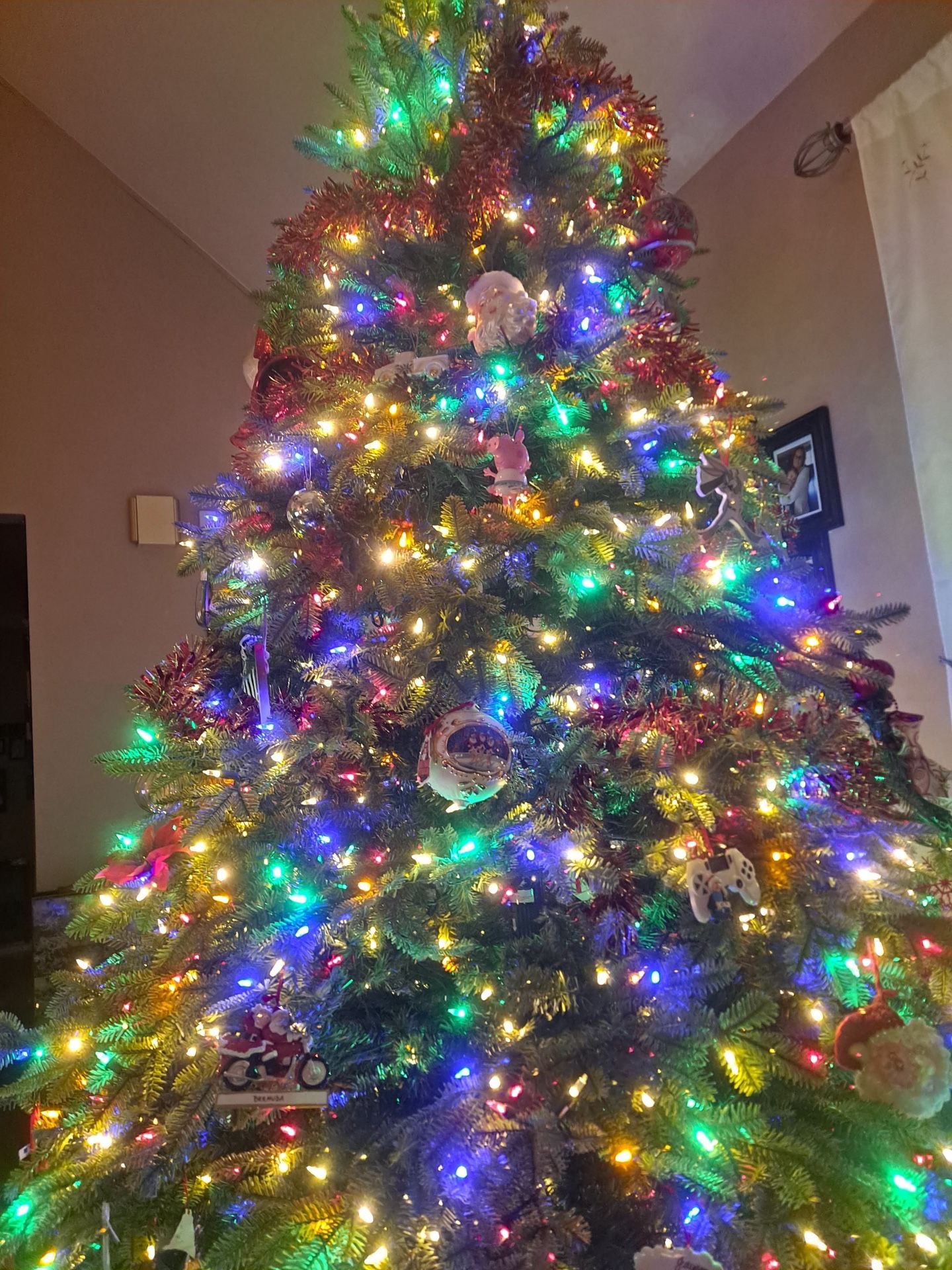 BH Balsam Fir Christmas Tree