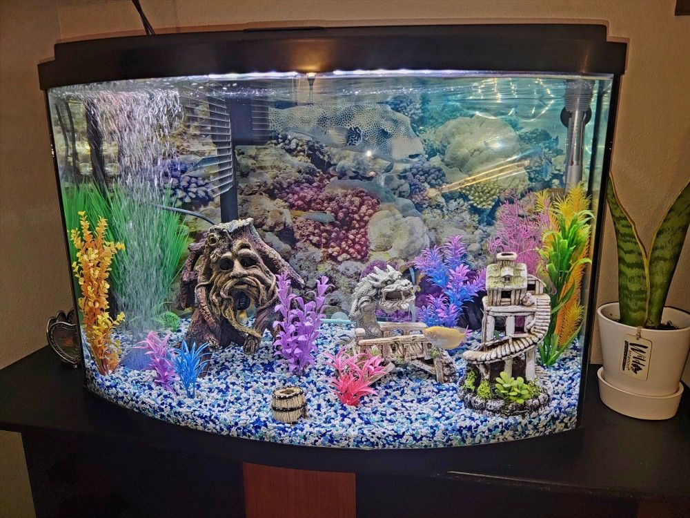 Like New 60 Gallon Fish Tank ( Round Front) And Storage Stand