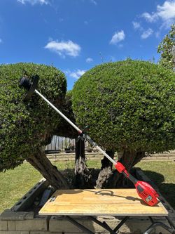 Milwaukee string trimmer